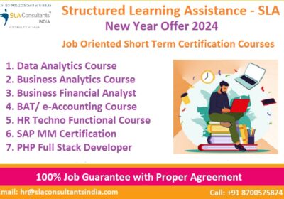 Best HR Course in Delhi, Noida & Gurgaon, Free SAP HCM & HR Analytics Classes, Free Online/Offline Demo, 100% Job Placement
